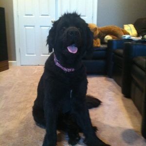 Meet your Posher, Christine